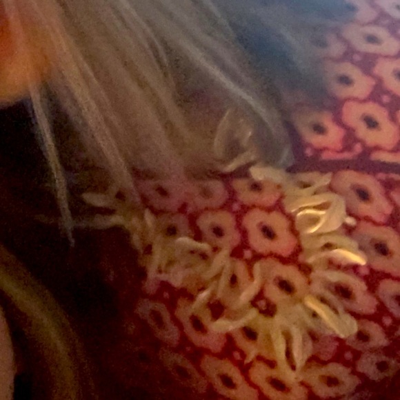 Real Shell Necklace 🐚 - Picture 2 of 4